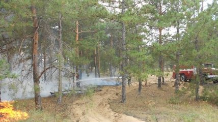 В Херсонской области третий день горит лес