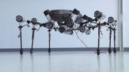 Шестилапый робот-насекомый (Видео)
