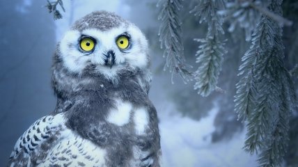 В народе 16 февраля отмечается праздник Починка