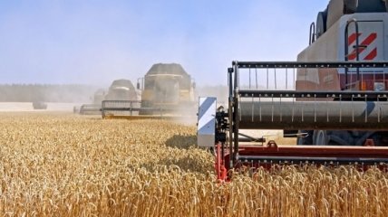 В Украине увеличились цены реализации сельхозпродукции