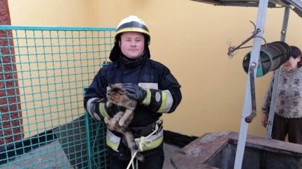 В Днепре спасатели вытащили кота с глубокого колодца (Фото)