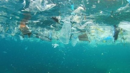 Япония предложила проект по изучению загрязнения пластиковыми отходами глубин океана
