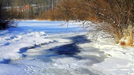 На Житомирщине нашли труп мужчины