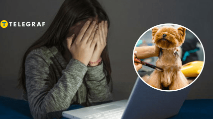 В Киеве скандал из-за жестокого обращения с животными