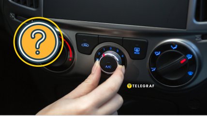 На что нужно посмотреть на торпеде