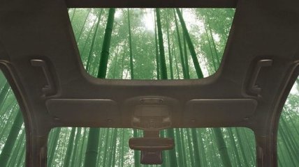 Компания Ford создаст автомобиль из бамбука