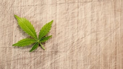 В Грузии собираются наладить экспорт марихуаны 