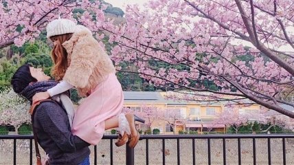 Весенние снимки цветущей сакуры из японского Инстаграм (Фото)