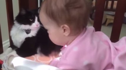 Котики и собачки демонстрируют любовь к детям (видео)