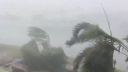 На Австралию обрушился мощный циклон "Дебби" (Видео)