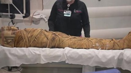 Ученые обнаружили рак у египетской мумии (Видео) 