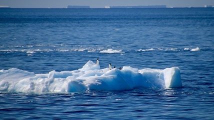 Самый "взрослый" в мире: ученые обнаружили в Антарктиде древний лед
