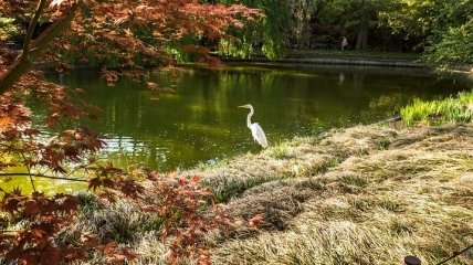 Какой праздник 17 апреля: народные приметы и запреты