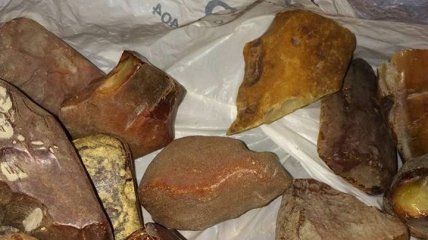 В ходе расследования стрельбы в Олевске полиция изъяла полтонны янтаря