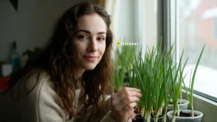 Вырастить лук на подоконнике зимой очнь просто