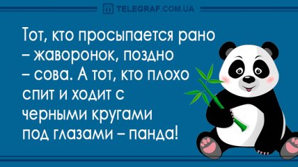 Хорошего вечера: лучшие анекдоты 25 сентября