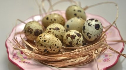 Полезные свойства перепелиных яиц для организма