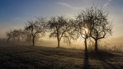 Осінь