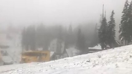 На Карпати раптово обрушився сніговий шторм (відео)