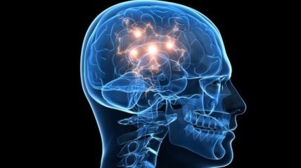Появилась новая методика, которая поможет разобрать работу человеческого мозга 