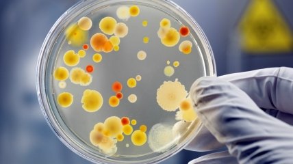 К 2050 году человечество будет бессильно перед бактериями: супербактерии будут убивать 10 млн человек в год