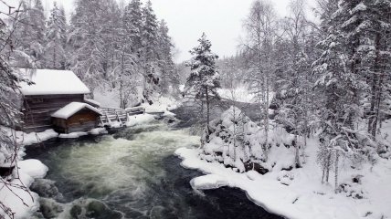 Красота северной Финляндии: парк Оуланка (Фото)