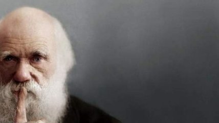Чарльз Дарвин: малоизвестные факты, о которых вы не знали об "отце теории эволюции"