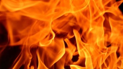 Ще одна пожежа: у Тернополі горить велика площа очерету