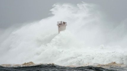 Тайфун "Хагибис": жертв становится больше