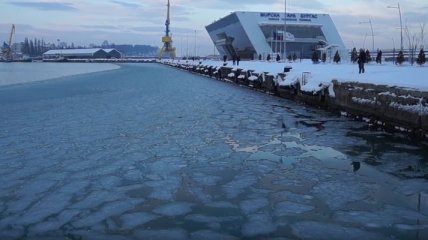 В Болгарии впервые за 63 года замерзло Черное море (Видео)