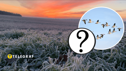 Похолодання