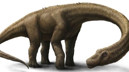 Ученые усомнились в весе самого большого динозавра