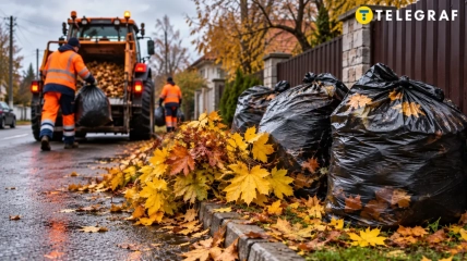 Наполненные пакеты достаточно выставить в определенном месте