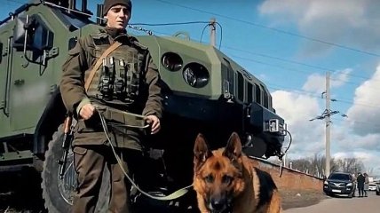 В Киевской области СБУ провела антитеррористические учения (Видео)