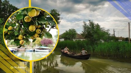 Иллюстративное фото