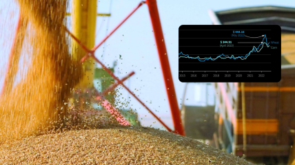 Зерновые рынки уже отреагировали на заявления россии, усугубляя ситуацию с инфляцией