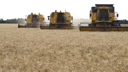 С начала 2015/2016 МГ Украина экспортировала 37,3 млн тонн зерна