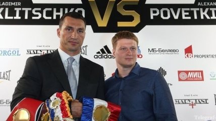 Владимир Кличко узнал сумму гонорара за бой с Поветкиным