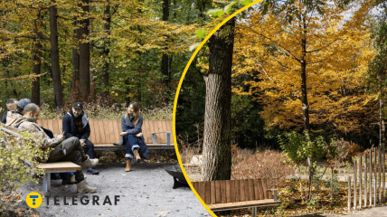 Терапевтичний сад