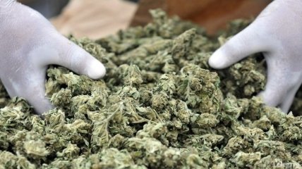 В Аргентине конфисковали рекордные 12 тонн марихуаны