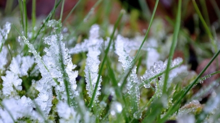 Заморозки на ґрунті можливі при плюсовій температурі повітря.