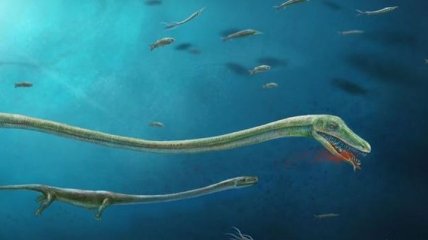 Палеонтологи обнаружили беременного предка динозавра