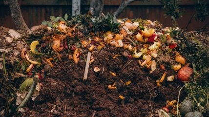 Для компоста подходят не все отходы