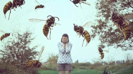 Для людини може бути небезпечним укус бджоли або будь-якої іншої мошки
