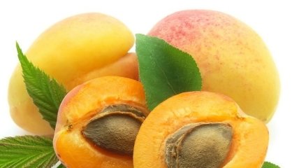 Польза абрикосов для здоровья
