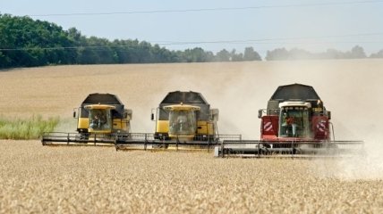 В Украине значительно вырос экспорт агропродукции и продовольствия