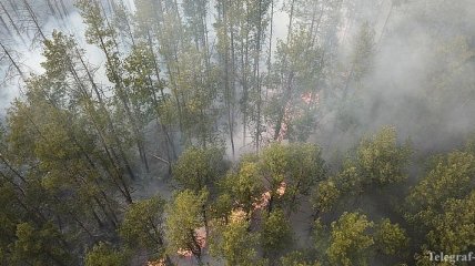 Пожары уничтожили около 5% Чернобыльского заповедника