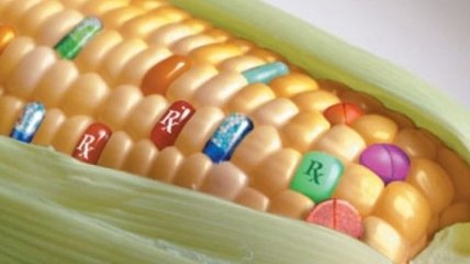 Ученые рассказали о воздействии ГМО на организм человека