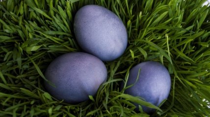 Натуральные красители для синих пасхальных яиц