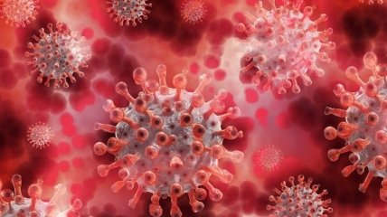Что нужно знать о повторном заражении коронавирусом и как этого избежать
